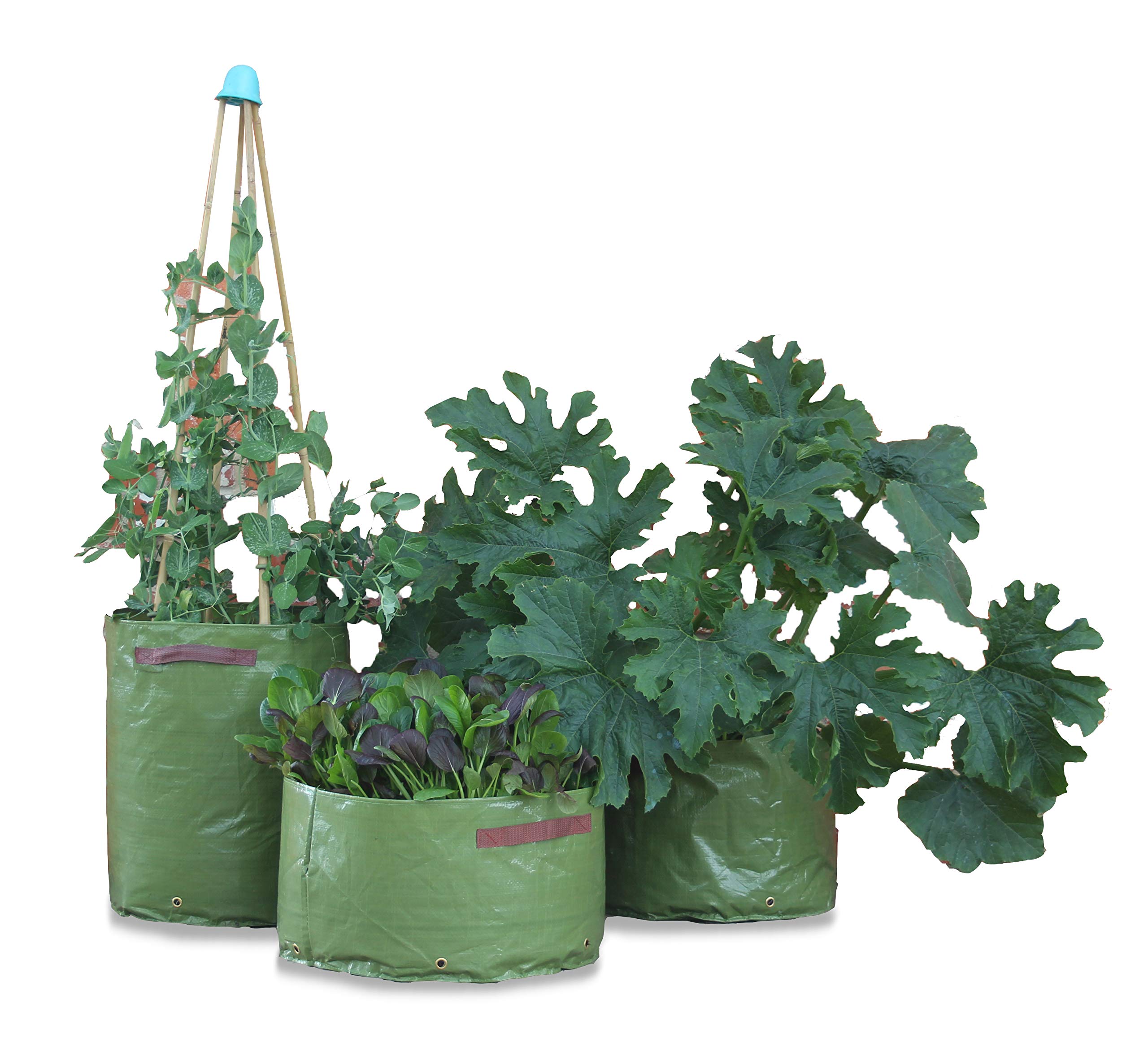 Haxnicks 3 x Vegetable Garden Planters | Reusable Grow Bags| Indoor Or Balcony Vegetable Garden | 3 Sizes Deep Medium Shallow | Pack Of 3 | Planter060101