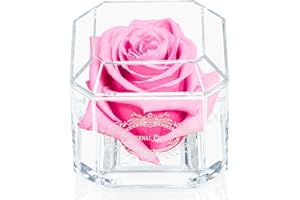 A 100% Real Rose That Lasts A Year - The Perfect Unique Gift for Women and Men,A Birthday Gift (Pink)