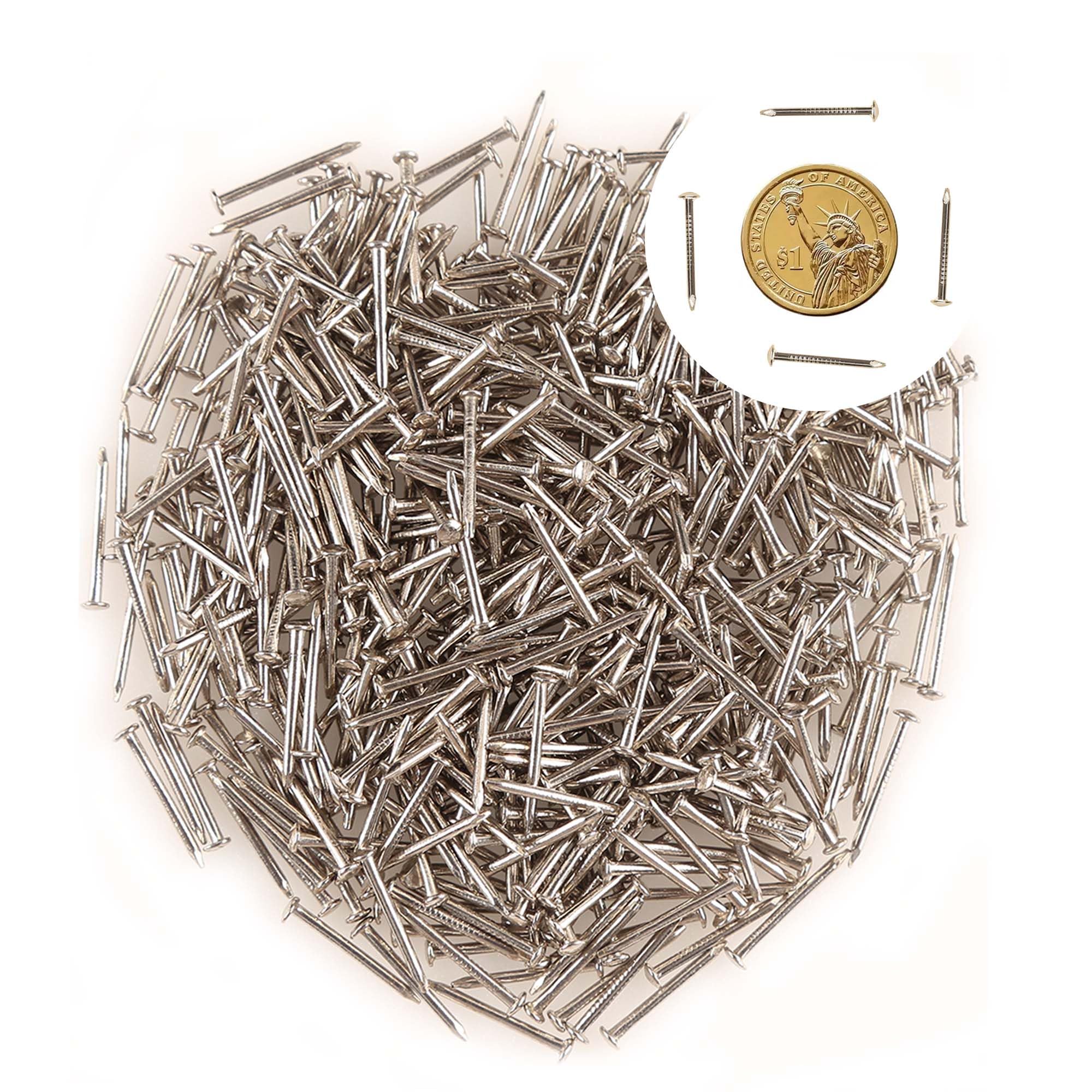 newlng 500pcs Small Nail Round Head Tiny Nails