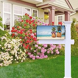 Abucaky Attractive Pineapples Summer Beach Mailbox