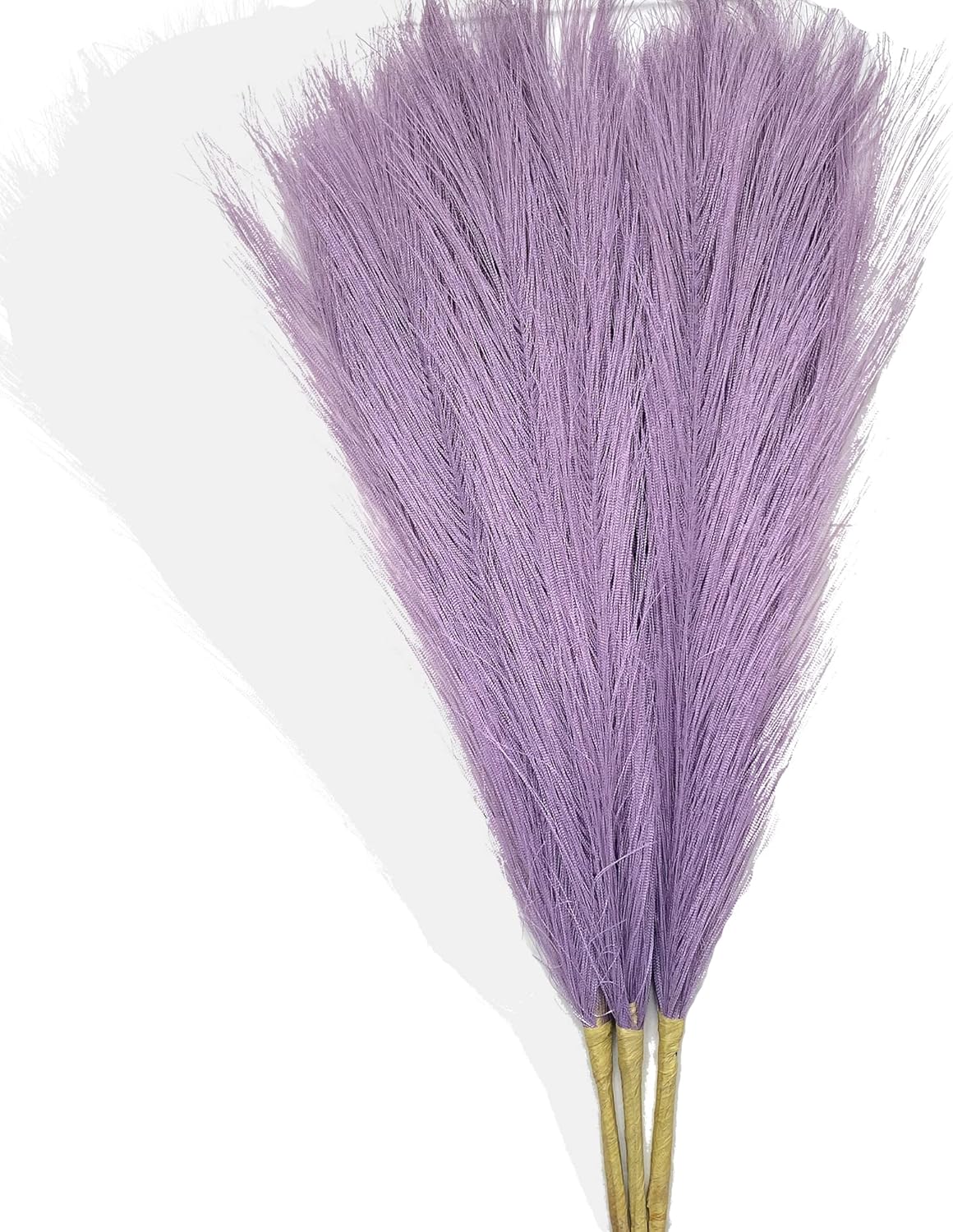 Dried & Preserved Flora - Acfruits Faux Pampas Grass Small, 17