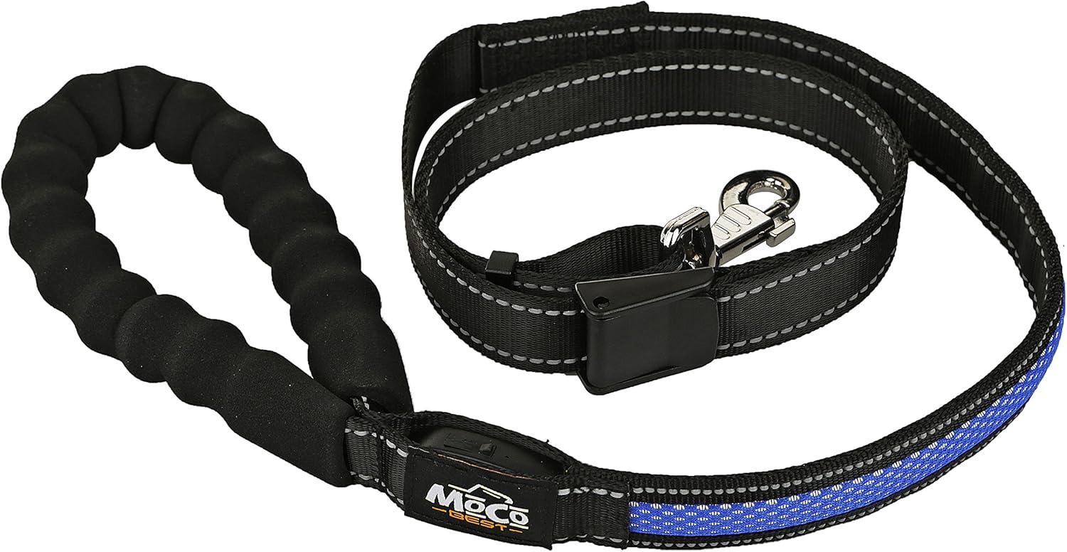 best led dog leash