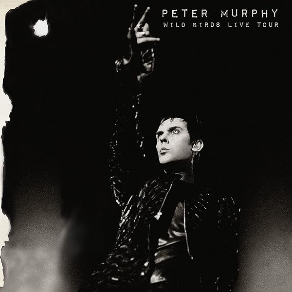 Amazon.com: Peter Murphy Live In London 3LP: CDs y Vinilo
