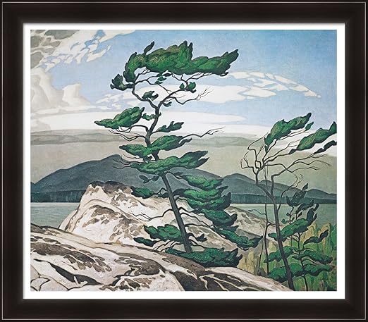 A J Casson Limited Edition Group Of Seven White Pine Framed Art Print At Amazon S Sports Collectibles Store