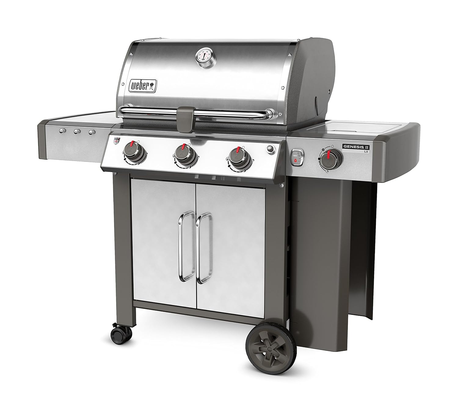 Amazon.com: Weber Stephen Company 61004001, Stainless Steel: Garden &  Outdoor