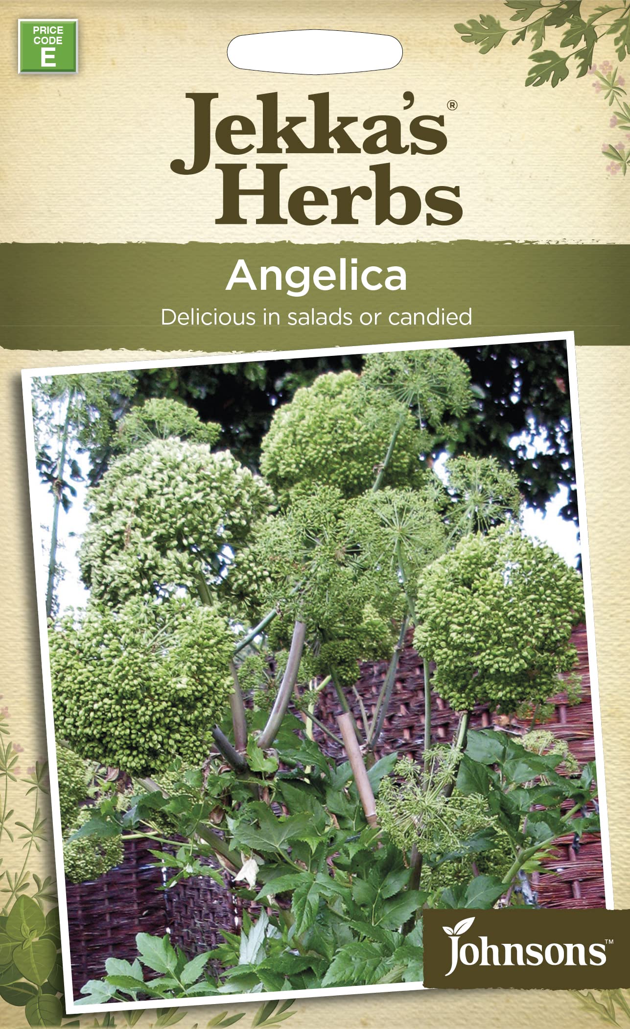 Johnsons 24739 Herb Seeds, Angelica