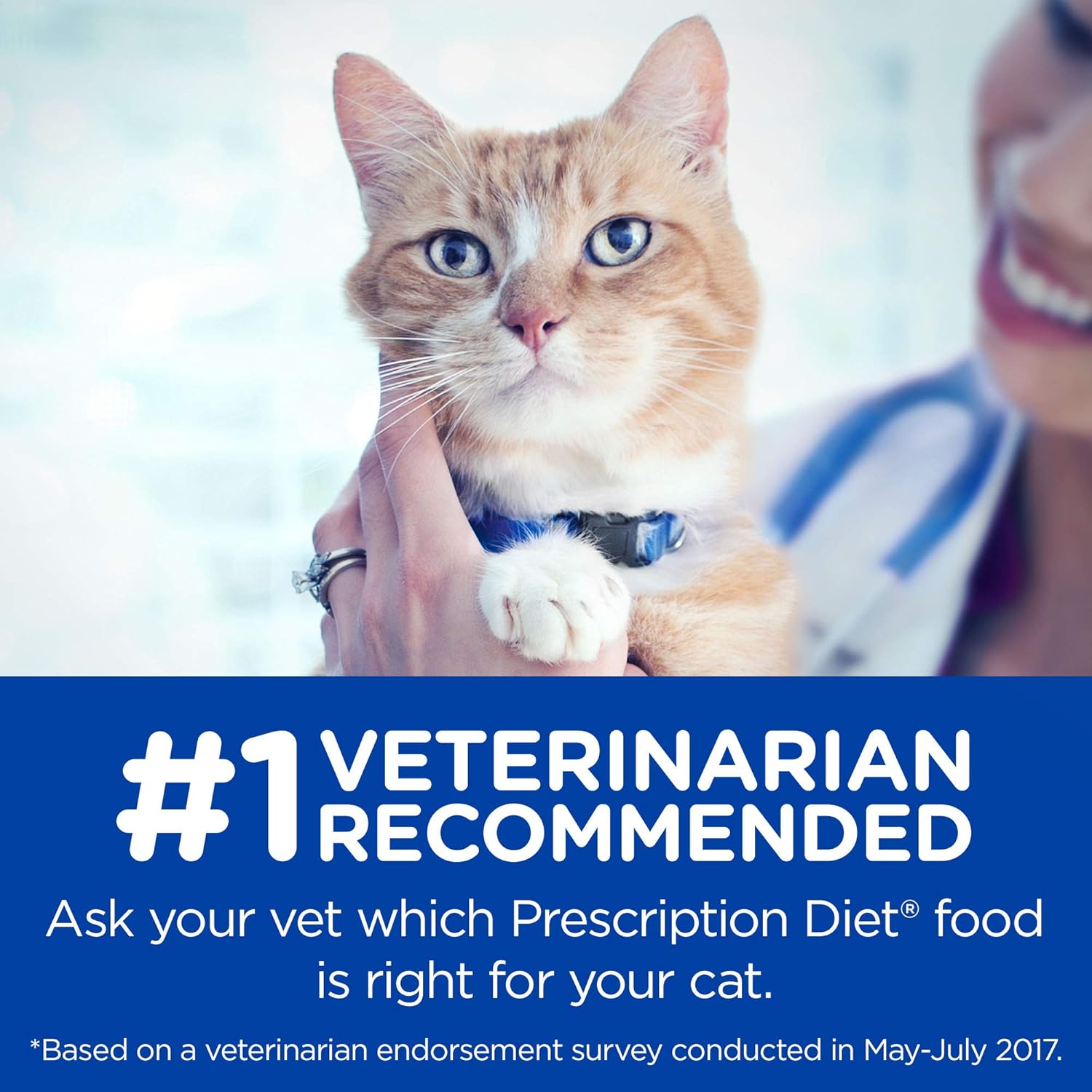 hills prescription diet hypo treats for cats