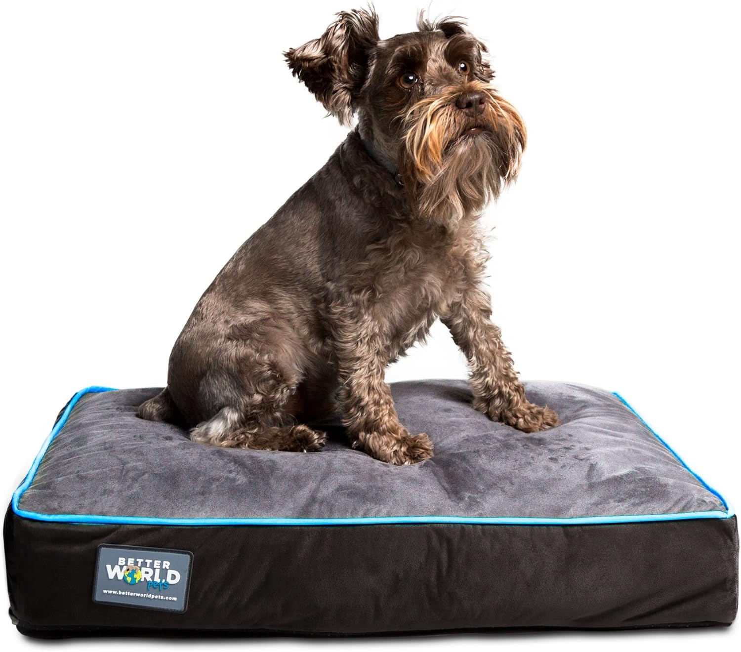Orthopedic Dog Bed | Pure Premium Shredded Memory Foam Ideal for Aging Dogs | Waterproof Removable Washable Cover (XL (46"x36"x5")(80-120 lbs), Grey with Ocean Blue Trim) : Pet Supplies