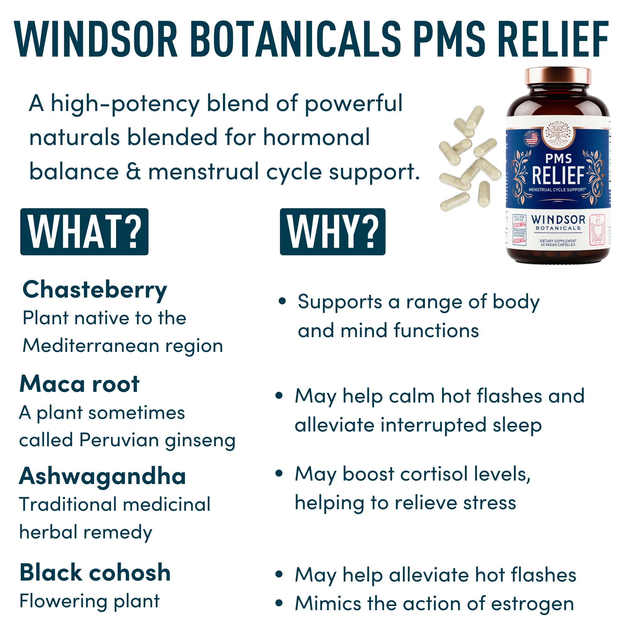 PMS Support Supplement for Women with Chasteberry, Maca Root, Ashwagandha - Period Relief, Bloating Relief for Women, Mood Support, Hormone Balance Herbal Supplements - 30 Day, 60 Vegan Capsules
