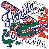 Desert Cactus University of Florida Sticker Florida Gators Vinyl Decal Laptop Water Bottle Car Scrapbook Sheet (Type 2-2)
