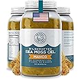 Herbal Vineyards Wildcrafted Irish Mango Sea Moss Gel 16 Oz - Organic Seamoss Gel Made with Dried Seaweed & Fresh Sea Vegetables, Natural & Plant-Based, Harvested in Pristine Waters, USA