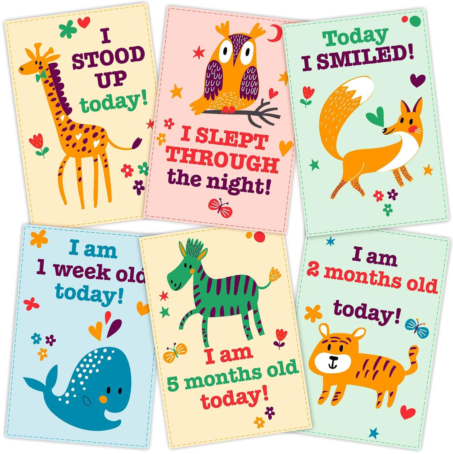 today i am 2 months old