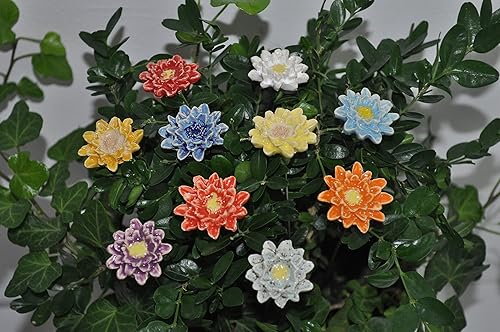 10 Keramikblumen: Bunte Kornblumen