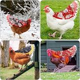 NQEUEPN 6 Pcs Chicken Saddles for Hens Cotton Back Protector Feather Fixer view 7