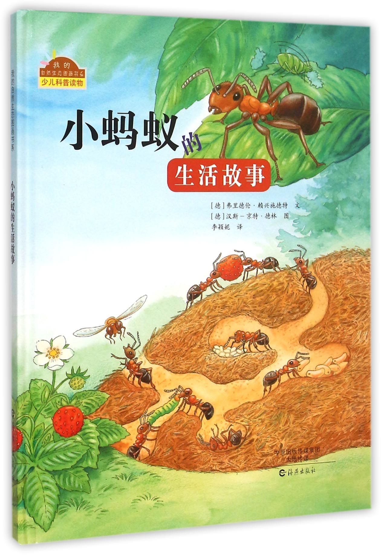 小蚂蚁的生活故事 我的自然生态图画书系 德 弗里德伦 赖兴施德特李颖妮 德 汉斯 京特 德林 9787535061324 Amazon Com Books