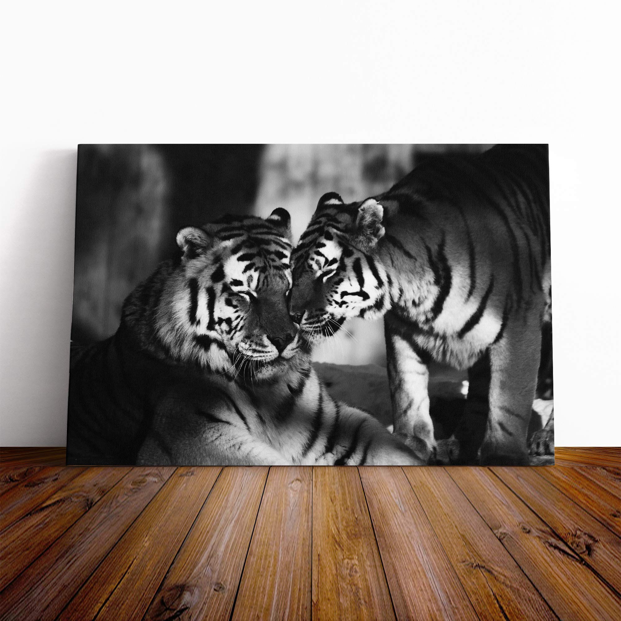 Tigers (2) Canvas Print | Gallery Wrapped 30mm Frame Wall Art | 20x14 inches | Ready to Hang | Modern Animal Picture | Living Room Bedroom Lounge Office
