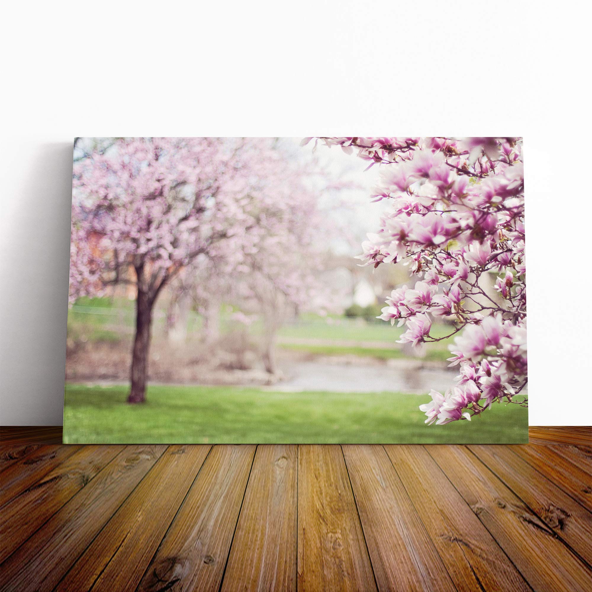 Landscape Pink Magnolia Trees Park Canvas Print | Gallery Wrapped 30mm Frame Wall Art | 20x14 inches | Ready to Hang | Modern Floral Picture | Living Room Bedroom Lounge Office