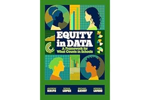 Equity in Data: A Framework for What Counts in Schools