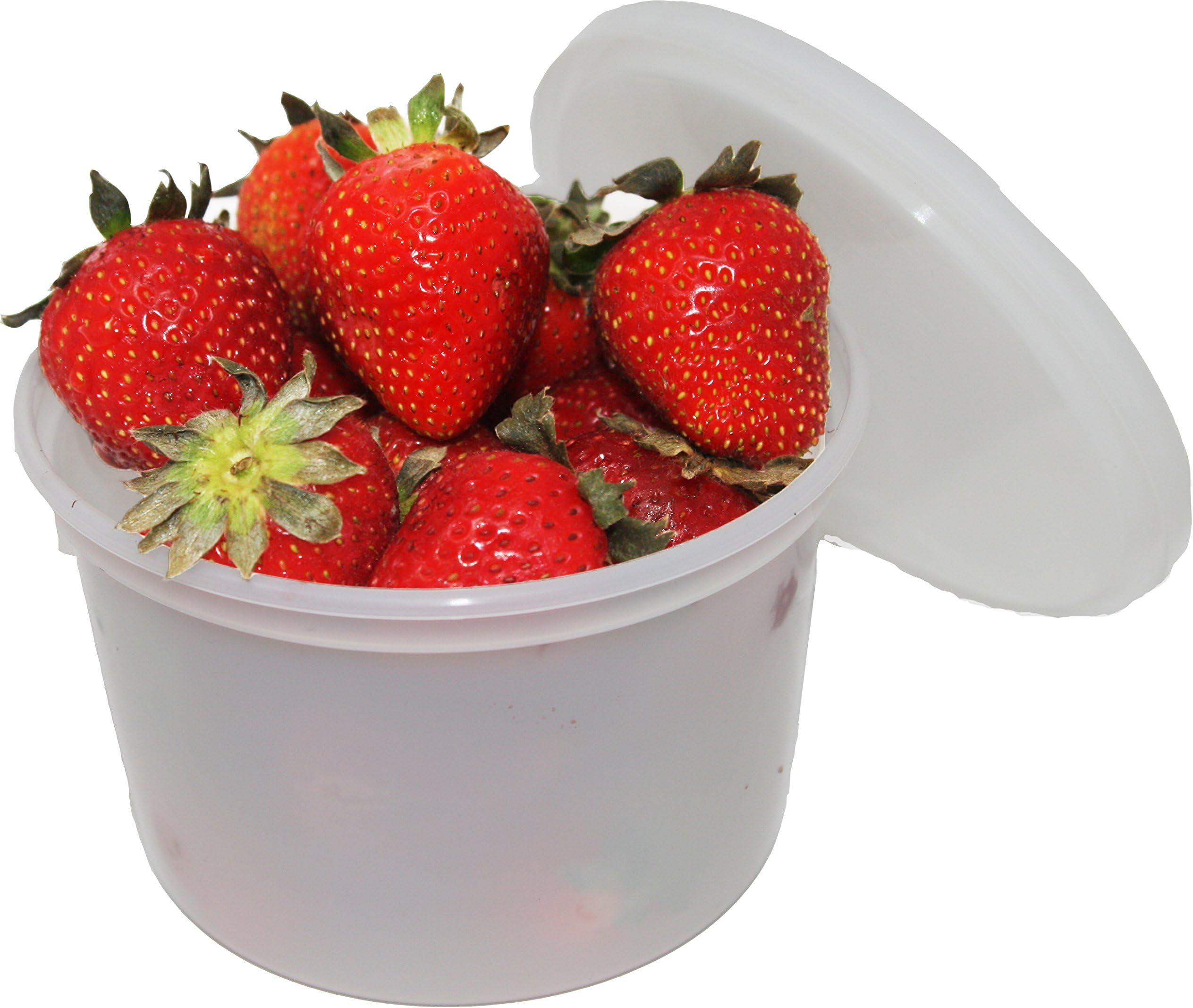 Vito's Famous Deli Container with Lid, 16 Ounce (Pack of 50) | Tight Seal | Freezer Safe