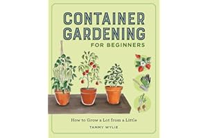 Container Gardening for Beginners: How to Grow a Lot from a Little