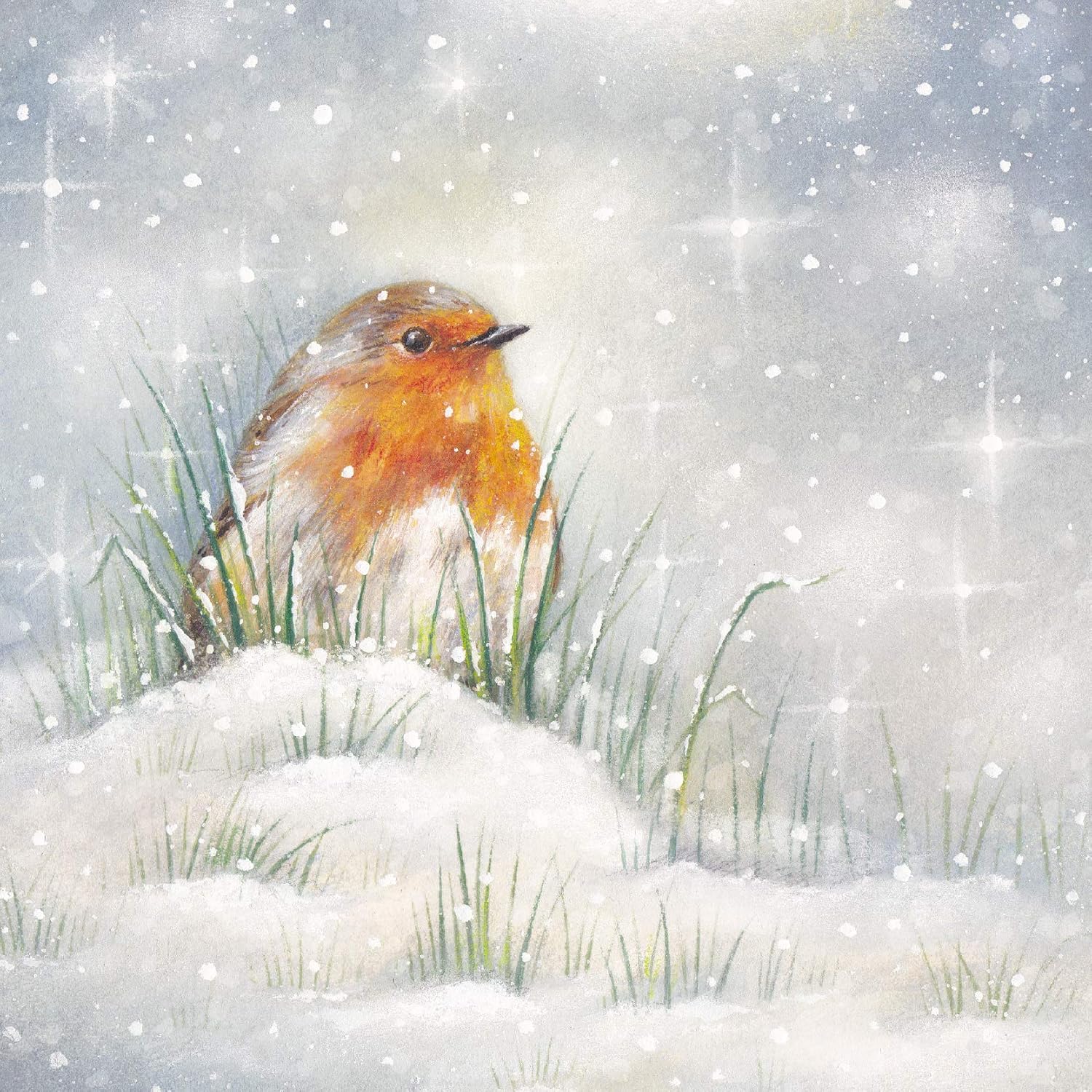 GBCC Charity Christmas Card Pack of 6 - Robin in the Snow - Christmas Card Multipack - In Aid of UK Charities - Majestic Robin
