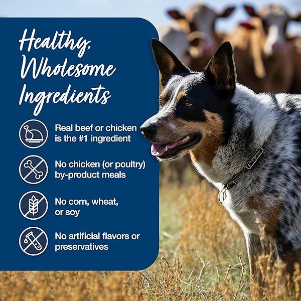 BLUE BUFFALO BLUE’S STEW NATURAL WET DOG FOOD, MADE WITH NATURAL INGREDIENTS, HEARTY BEEF AND COUNTRY CHICKEN VARIETY PACK, 12.5-OZ CANS, 6 COUNT