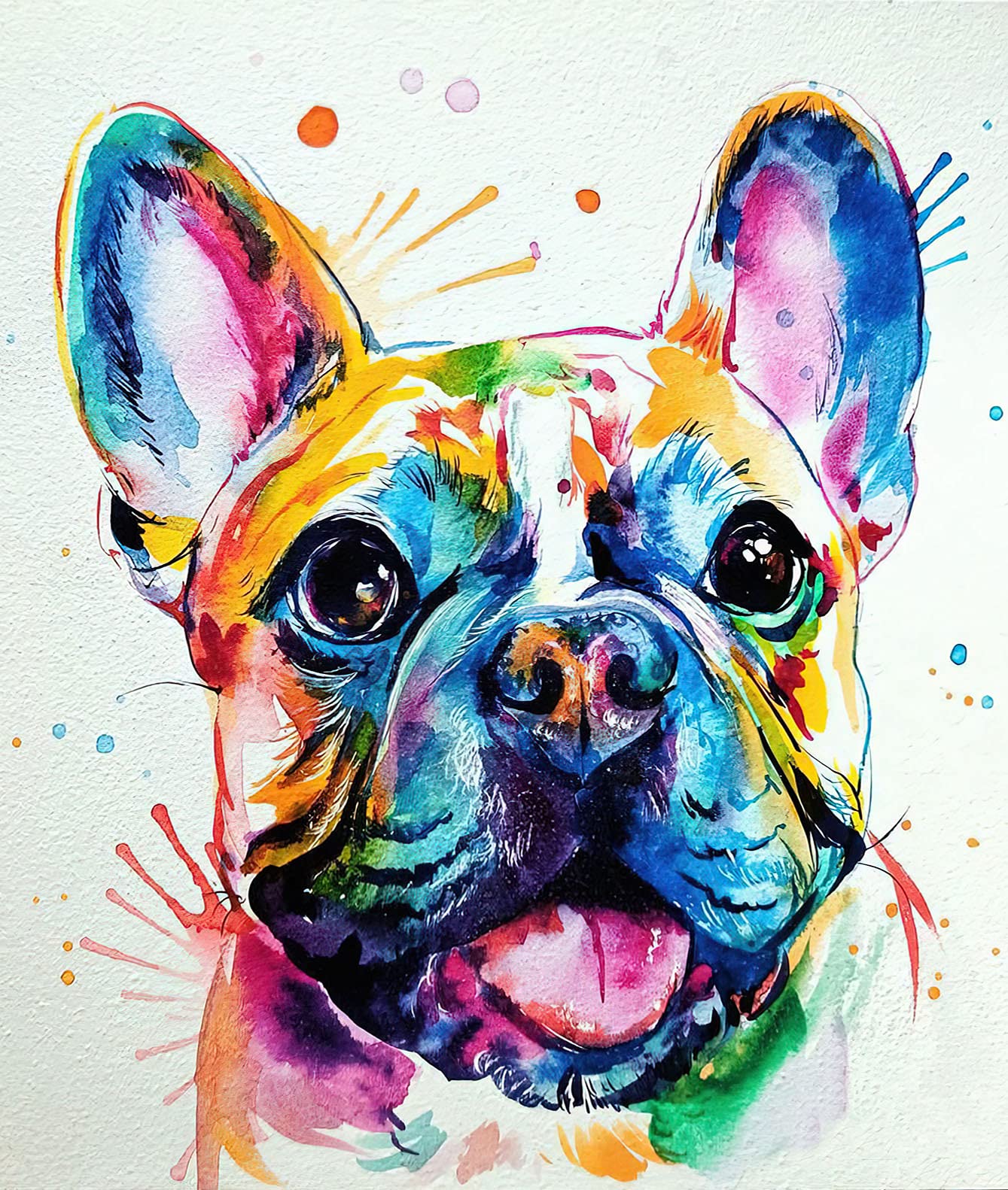 HANJINYU Paint by Numbers for Adult & Kids, DIY Canvas Oil Painting Kit for Adult Kids Beginner, Paint By Number Kits - 16x20 inch Colorful French Bulldog (Without Frame)