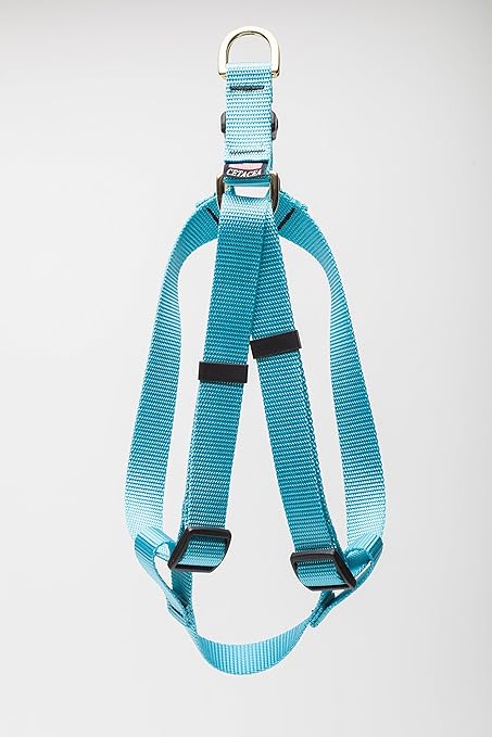 turquoise dog harness