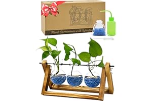 Qeeman Plant Containers with Wooden Stand: Glass Air Bulb Vase Swivel Vintage Desktop for Office Living Room Garden Decor Gifts for Mom Grandma Women