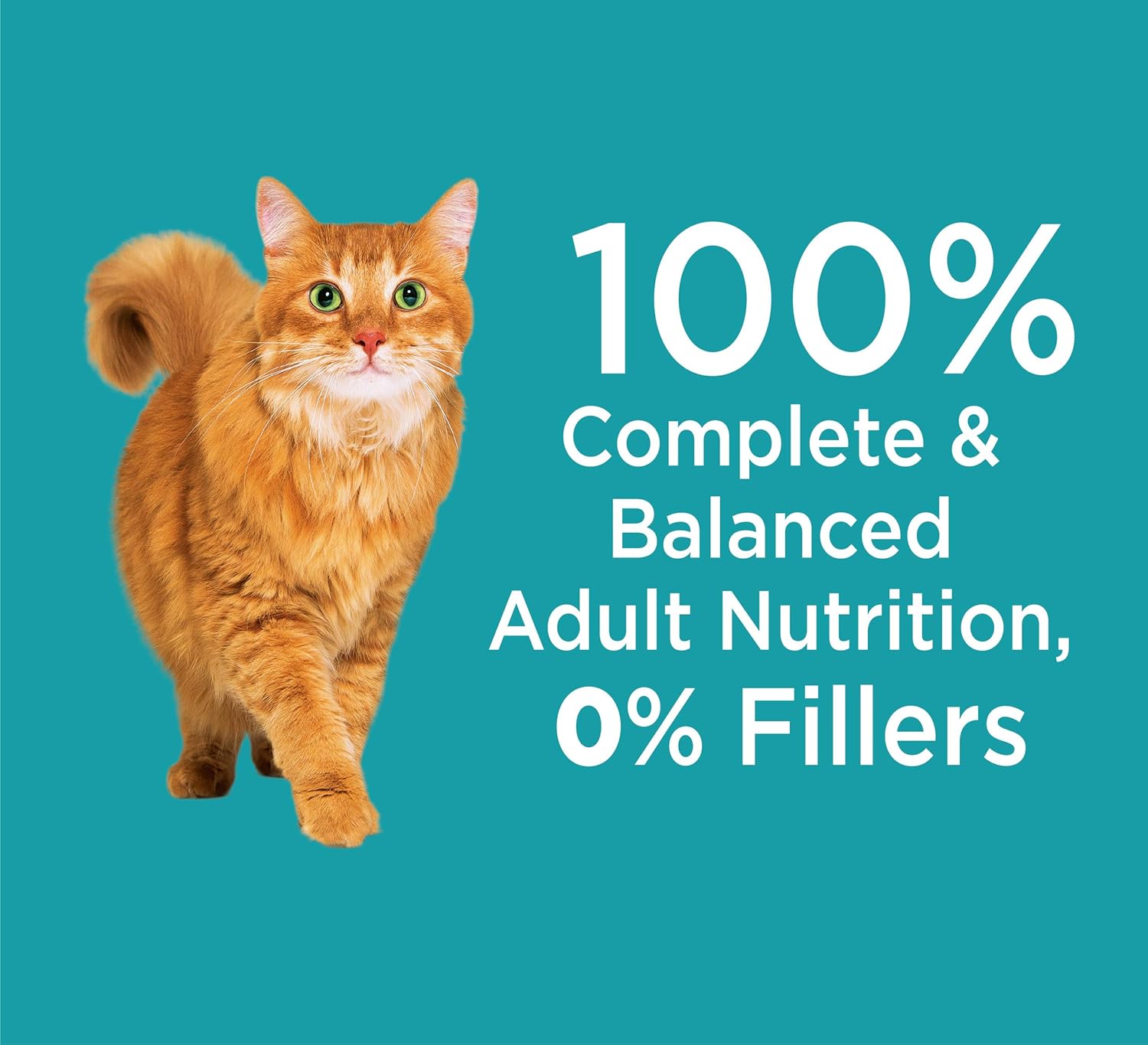 IAMS PROACTIVE HEALTH Adult Indoor Weight Control & Hairball Control Dry Cat Food with Chicken, Turkey, and Garden Greens, 7 lb. Bag : Pet Supplies