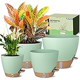 Self-Watering Pots for Indoor Plants 4 Pack, 6/8/10/12 Inch Outdoor Planters with Water Level Indicator&Deep Reservoir, Decorative Flower Pots for Indoor Plants,Home Decor (Green, 12+10+8+6 inch)