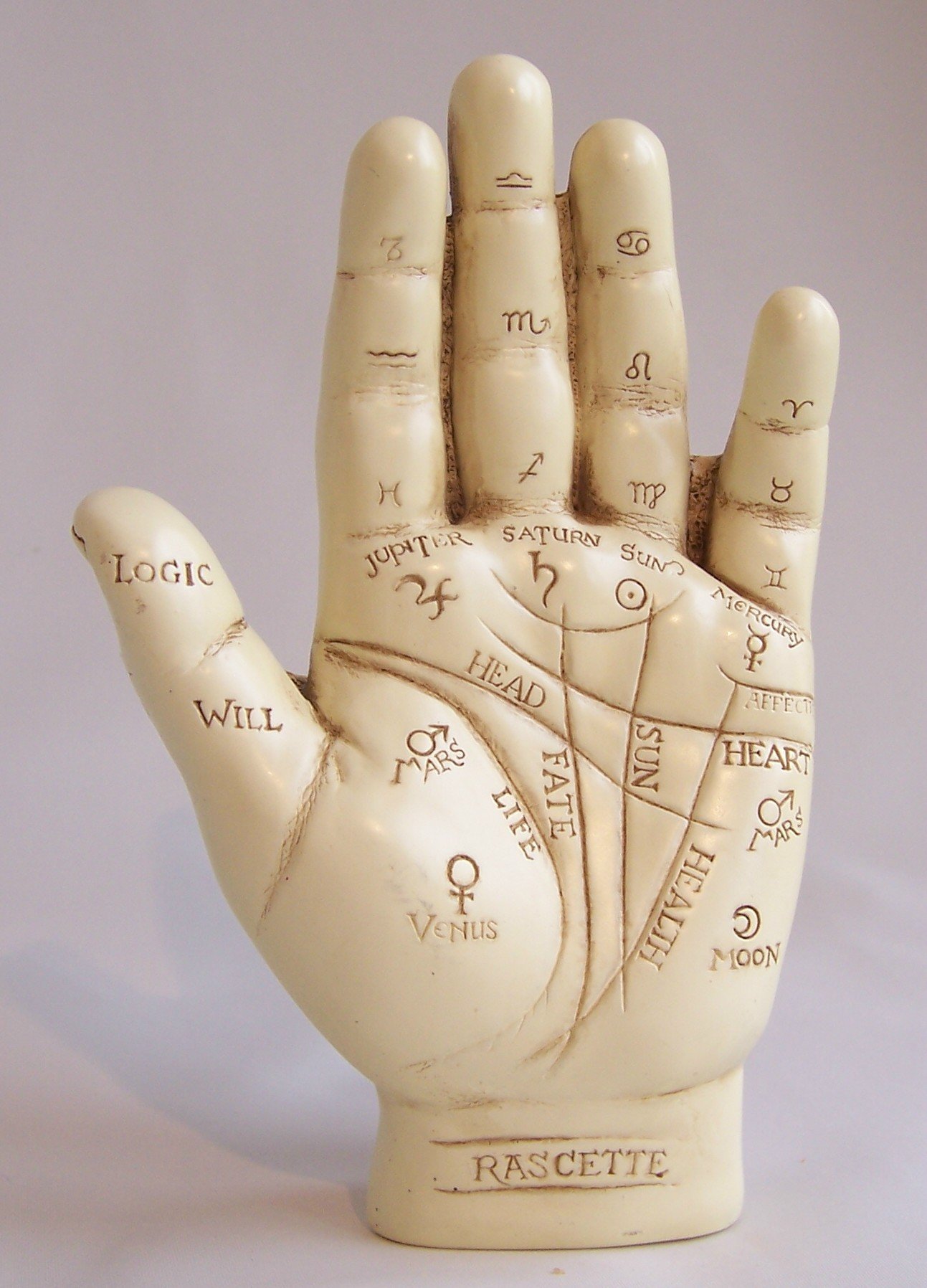 LARGE Palmistry Hand Ornament & Palm Reading Instructional Booklet