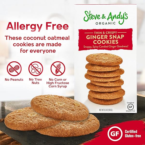 STEVE & ANDY’S ORGANIC GINGERBREAD COOKIES, 5.5 OZ