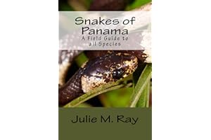 Snakes of Panama: A Field Guide to all Species (Team Snake Panama)
