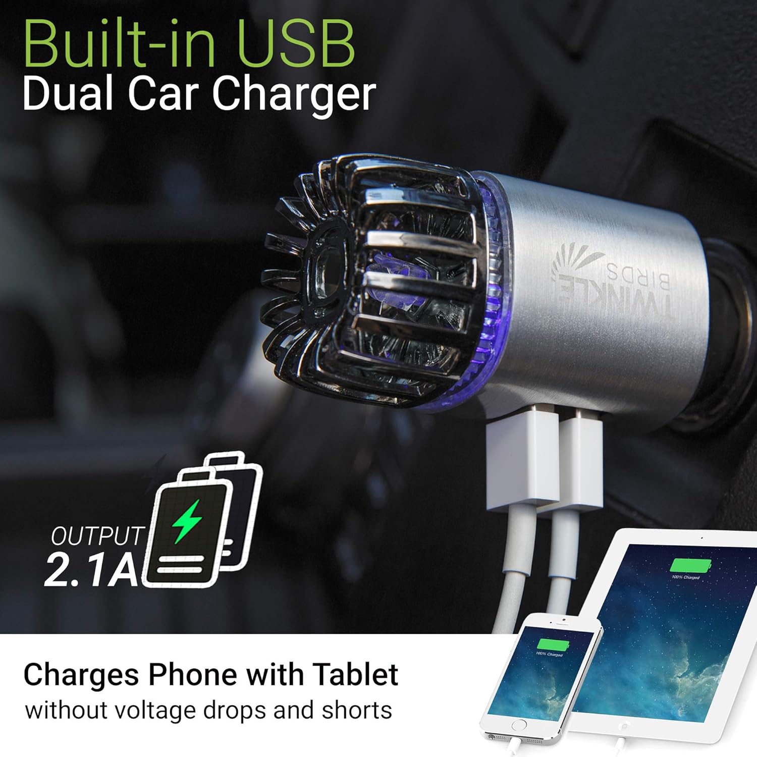 Car Air Purifier Ionizer - 12V Plug-in Ionic Anti-Microbial Car Deodorizer with Dual USB Charger - Smoke Smell, Pet and Food Odors, Allergens, Viruses Eliminator for Car (Matte Silver): Automotive