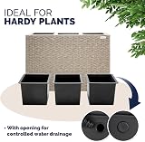 CASARIA Flower Box 3 Inner Pots Polyrattan Rectangular Planter Cream view 5