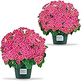 soluxetech Artificial Handmade Geraniums with Flowers Scent 2 Pots Pink White Purple Lavender Lifelike Faux Geraniums Bushes Fake Flowers for Wedding Party Home Office Indoor Outdoor Plants Decor