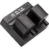 BM 2 BP-820 Batteries and Dual Battery Charger for Canon VIXIA HF G50, HF G60, XA40, XA45, XA50, XA55, GX10, HFG20, HF G21, H