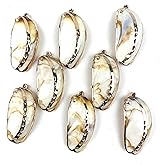 Heyiwell 8PC Natural Abalone Shells Charm with Plated Gold and loop for Jewelry Making Earring Bracelet Necklace DIY Craft 52x23mm