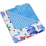 Wildkin Plush Baby Blanket for Toddler Boys