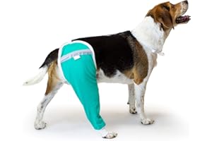 Hip and Thigh Wound Protective Sleeve for Dogs. Dog Recovery Sleeve. Recommended by Vets Worldwide (X-Large, Teal Green)