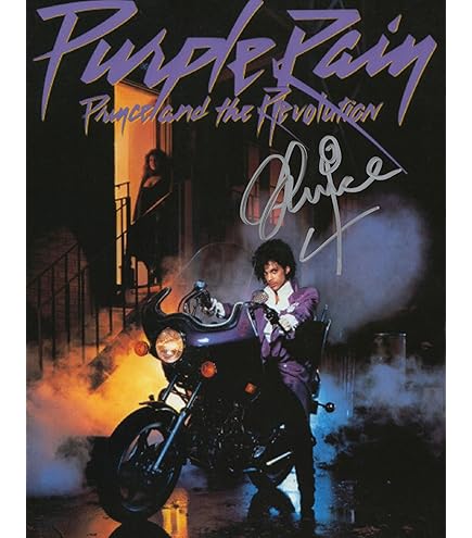 Amazon.com: Purple Rain - Music Movie Poster (Regular Style