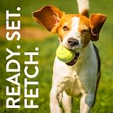 SPORTSPET Tennis Balls for Dogs 12 Pack - Extra Bouncy Floats 64mm Non Toxic view 5