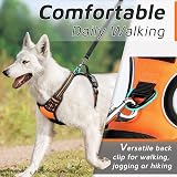 Eagloo Dog Harness Large No Pull Front Back Clips Reflective Orange L view 4
