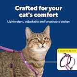 PetSafe Come With Me Kitty Harness and Bungee Leash Small Dusty Rose/Burgundy view 4