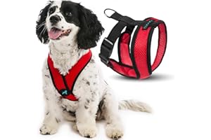 Gooby Comfort X Head in Harness - Red, Medium - No Pull Small Dog Harness, Patented Choke-Free X Frame - Perfect on The Go Dog Harness for Medium Dogs No Pull or Small Dogs for Indoor and Outdoor Use