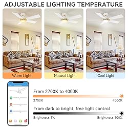 SMAAIR 48 Inch Ceiling Fan with Light and
