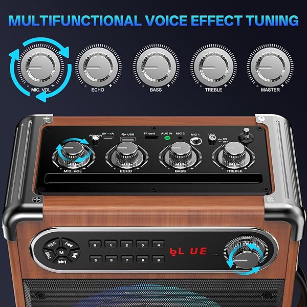 JYX KARAOKE MACHINE, 2 WIRELESS MICROPHONES, PORTABLE BLUETOOTH 5.3 PA SPEAKER WITH DISCO LIGHTS, SMART TV COMPATIBLE, UPGRADED SUBWOOFER, BASS BOOST & ECHO, TF/USB/AUX/FM, HOME & OUTDOOR PARTY