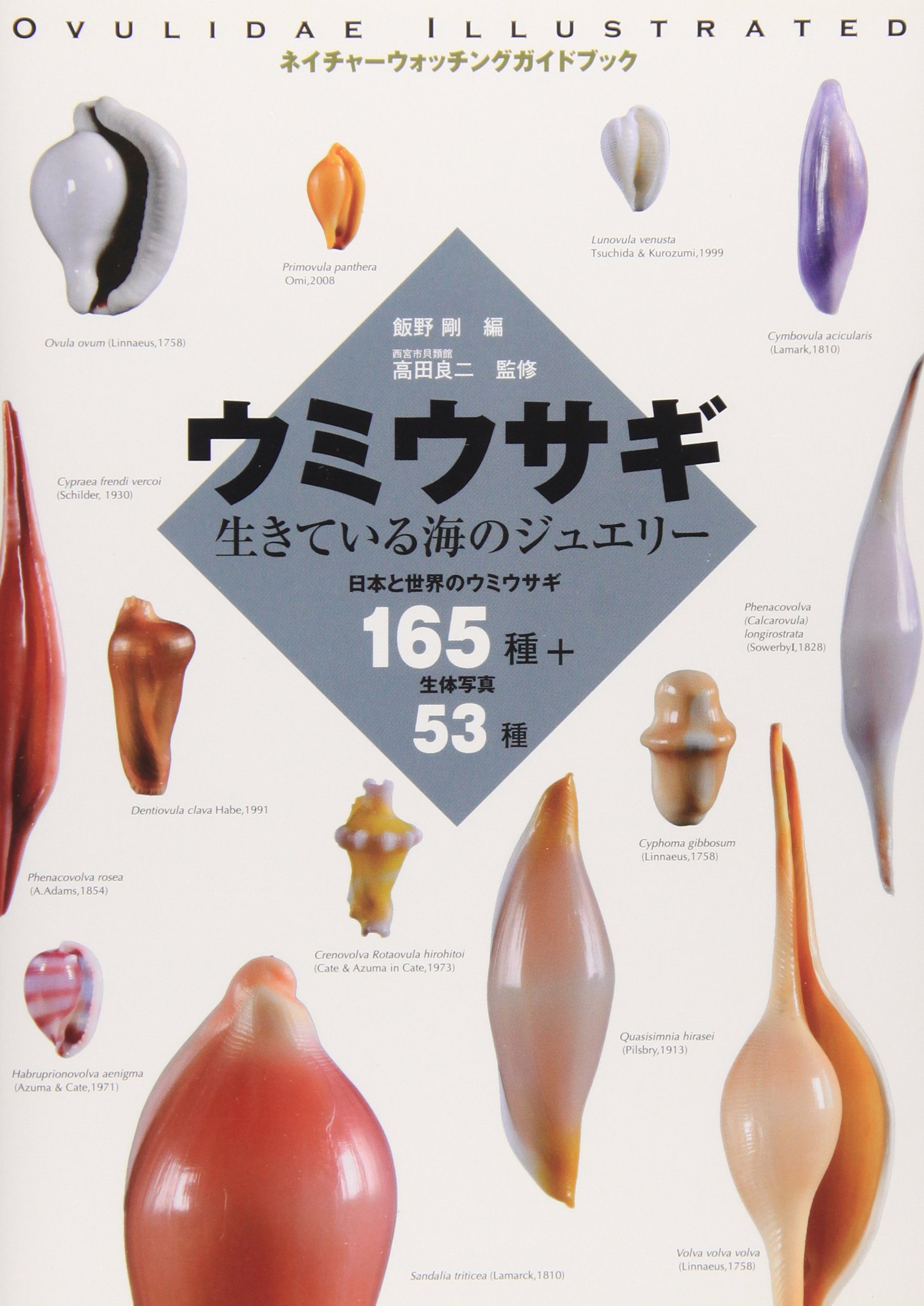 ウミウサギ 生きている海のジュエリー ネイチャーウォッチングガイドブック 良二 高田 剛 飯野 本 通販 Amazon