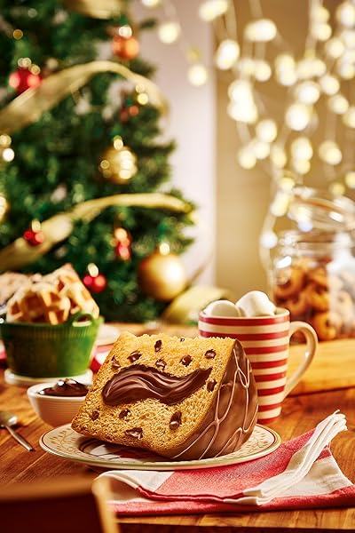 BAUDUCCO CHOCOTTONE HAZELNUT CREAM – MOIST & FRESH CAKE, TRADITIONAL ITALIAN RECIPE WITH FUDGE TOPPING, FILLED WITH HAZELNUT CREAM AND CHOCOLATE CHIPS, 16.0 OZ (PACK OF 1)